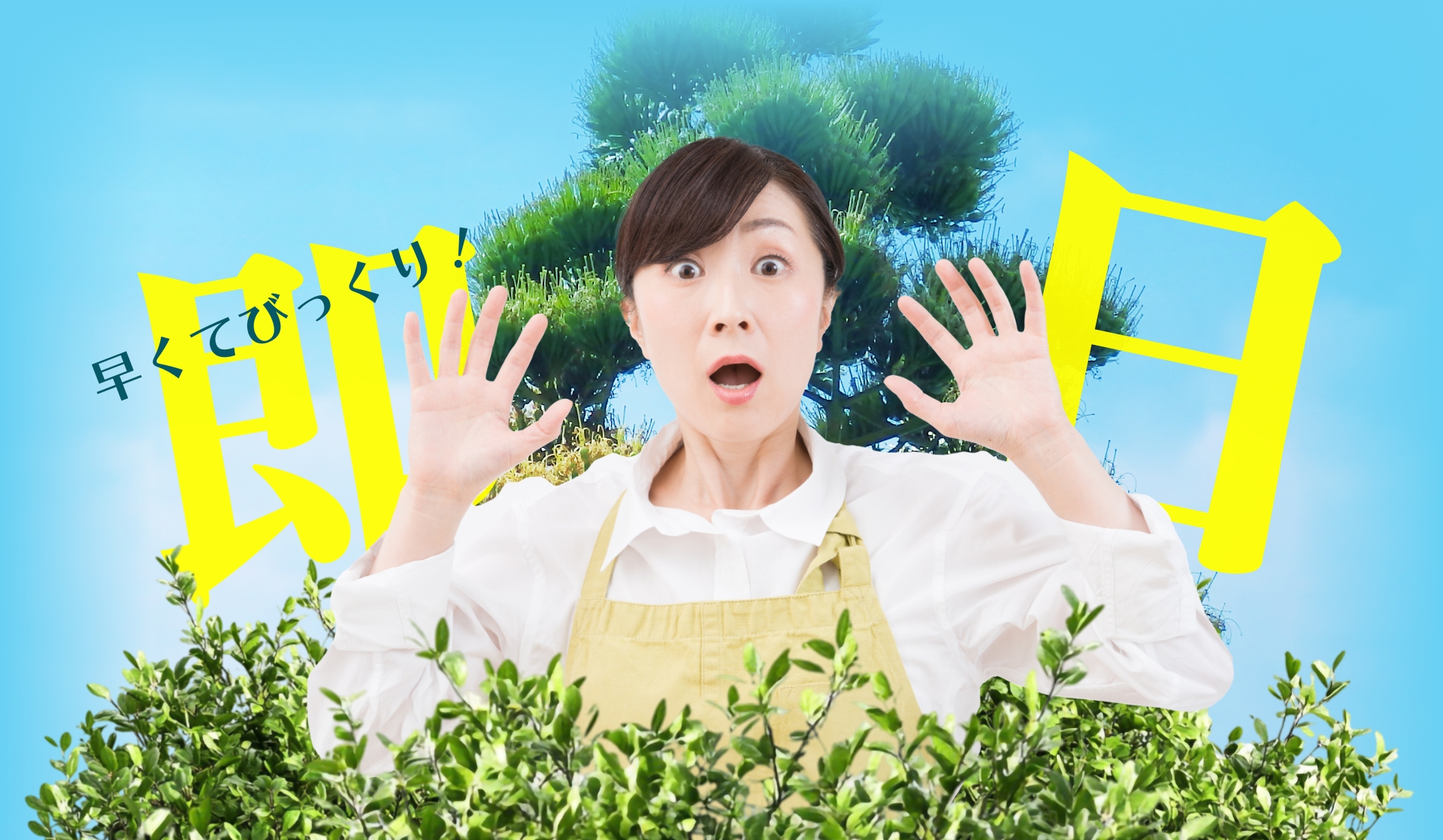 最短30分で到着！お庭の伐採は伐採グループへ！