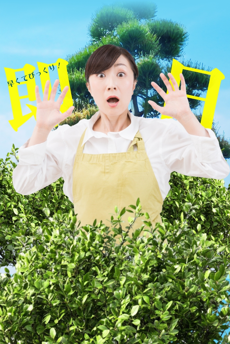 最短30分で到着！お庭の伐採は伐採グループへ！