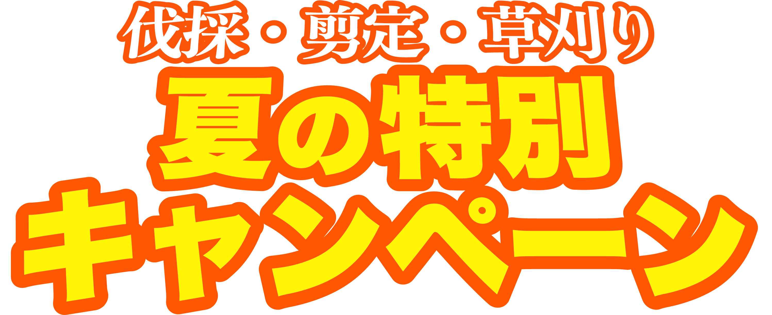 夏の特別キャンペーン